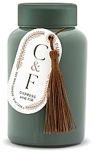 Düfte, Parfümerie und Kosmetik Duftkerze im Glas Zypresse und Tanne - Paddywax Cypress & Fir Frosted Glass Candle With Lid Dark Green