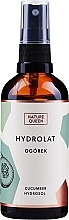 Düfte, Parfümerie und Kosmetik Gurkenhydrolat - Nature Queen Cucumber Hydrolat