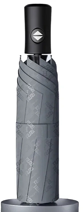 Automatischer Regenschirm PAR12SZ grau - Ecarla — Bild N2