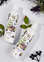 Shampoo für geschwächtes Haar mit schwarzer Johannisbeere und Brennnessel - Botanioteka Shampoo For Weak Hair — Bild N3