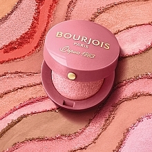 Gesichtsrouge - Bourjois Little Round Pot Blusher — Bild N10