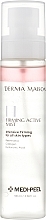 Gesichtsnebel - MediPeel Derma Maison Firming Active Mist  — Bild N1