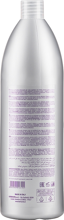 Anti-Schuppen Shampoo "Repair & Care" - Farmavita Amethyste Purify Dandruff Control Shampoo — Bild N4