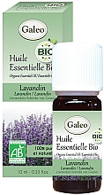 Düfte, Parfümerie und Kosmetik Organisches ätherisches Öl Lavendel - Galeo Organic Essential Oil Lavandin