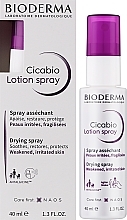 Beruhigende Trockenspray-Lotion für irritierte und empfindliche Haut - Bioderma Cicabio Lotion Spray — Bild N2