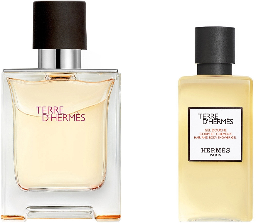 Hermes Terre d’Hermes - Set (Eau de Toilette/50 ml + Duschgel/40 ml) — Bild N2