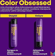 Farbschützendes Shampoo für coloriertes Haar - Matrix Total Results Color Obsessed Shampoo — Bild N4