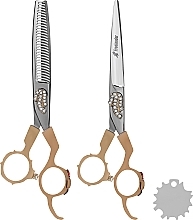 Professionelle Friseurschere - Lewer (scissors/2pcs + case/1pc) — Bild N1