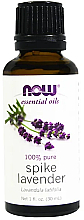 Düfte, Parfümerie und Kosmetik 100% Reines ätherisches breitblättriges Lavendelöl - Now Foods Essential Oils 100% Pure Spike Lavender