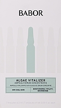 Vitalisierende und feuchtigkeitsspendende Gesichtsampullen mit Algen - Babor Ampoule Concentrates Algae Vitalizer — Bild N2
