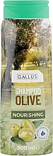 Haarshampoo mit Olivenöl - Gallus Olive Shampoo — Bild N1