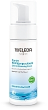 Düfte, Parfümerie und Kosmetik Zarter Reinigungsschaum für das Gesicht - Weleda Delicate Cleansing Foam