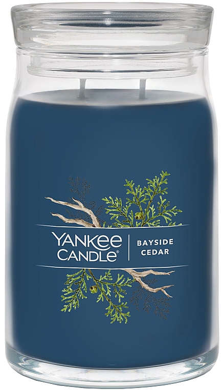 Duftkerze im Glas Zeder mit 2 Dochten - Yankee Candle Bayside Cedar — Bild N2