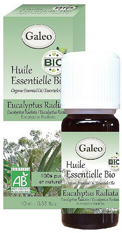Organisches ätherisches Öl Eukalyptus - Galeo Organic Essential Oil Eucalyptus Radiata — Bild N1