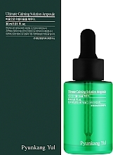 Centella-Serum für empfindliche Haut - Pyunkang Yul Ultimate Calming Solution Ampoule — Bild N2