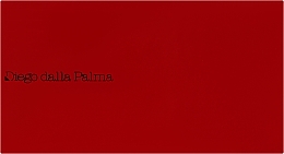Puderpalette - Diego Dalla Palma Refill System Customizable Face Palette — Bild N2
