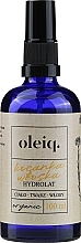 Düfte, Parfümerie und Kosmetik Hydrolat für Gesicht, Körper und Haare Immortelle - Oleiq Immortelle Hydrolat