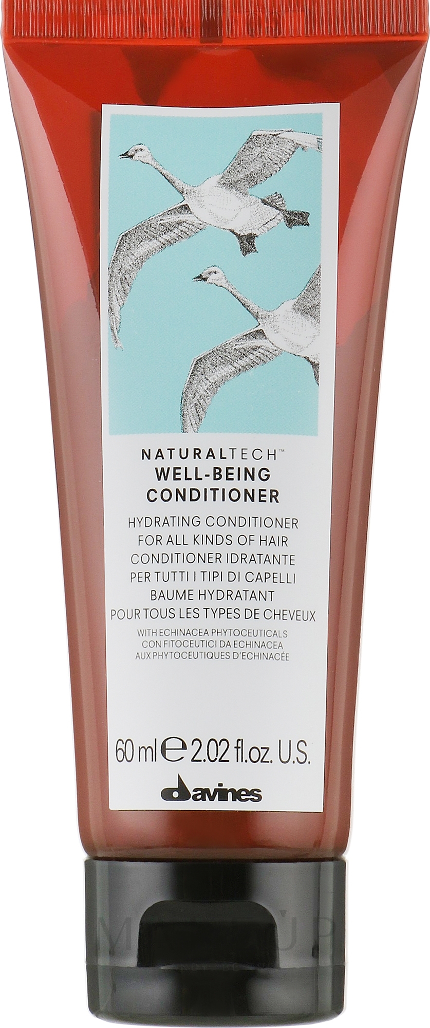 Feuchtigkeitsspendende Haarspülung mit Echinacea-Extrakt für mehr Glanz - Davines Well Being Conditioner — Bild 60 ml