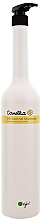 Düfte, Parfümerie und Kosmetik Shampoo - O'right Camellia Oil-Control Shampoo