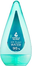 Düfte, Parfümerie und Kosmetik Feuchtigkeitsspendendes, schützendes und pflegendes Gesichtsgel mit Gletscherwasser - Miracle Island Ice Plant Water 95% All In One Gel