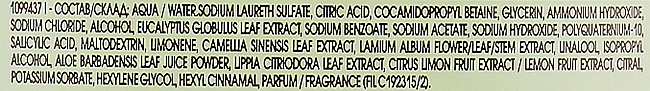 Shampoo für normales bis fettiges Haar mit grünem Tee - Garnier Botanic Therapy Green Tea — Bild N6