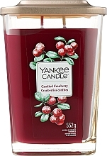 Duftkerze im Glas zwei Dochte - Yankee Candle Elevation Candied Cranberry — Bild N1