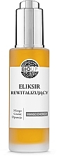 Regenerierendes Gesichtselixier - Bioup Elixir Mango Energy — Bild N1