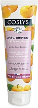 Düfte, Parfümerie und Kosmetik Haarspülung mit Mirabellen-Öl für trockenes und geschädigtes Haar - Coslys Dry Hair Conditioner