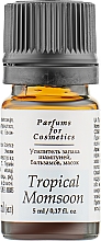 Düfte, Parfümerie und Kosmetik Aromaverstärker für Champagner, Balsam und Maske Tropical Momsoon - Parfums For Cosmetics Tropical Momsoon