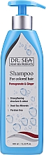 Düfte, Parfümerie und Kosmetik Shampoo für coloriertes Haar mit Granatapfel und Ingwer - Dr. Sea Shampoo Pomegranate & Ginger