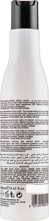Ausgleichendes Shampoo für fettiges Haar - Pura Kosmetica Pure Balance Shampoo — Bild N2