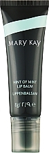 Lippenbalsam mit Minze - Mary Kay Hint of Mint Lip Balm — Bild N1