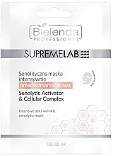 Intensive Anti-Falten Gesichtsmaske - Bielenda Professional SupremeLab Cellular  — Bild N1