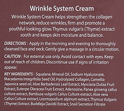 Verjüngende Anti-Falten Gesichtscreme mit Kollagen - The Skin House Wrinkle System Cream — Bild N3