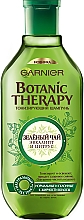 Shampoo für normales bis fettiges Haar mit grünem Tee - Garnier Botanic Therapy Green Tea — Bild N2