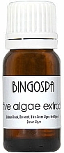 Düfte, Parfümerie und Kosmetik Algenextrakt - BingoSpa