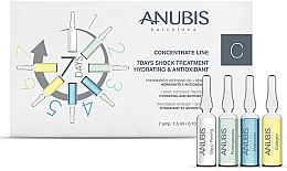 Düfte, Parfümerie und Kosmetik Gesichtskonzentrat - Anubis 7 Days Shock Treatment Hydratring & Antioxidant