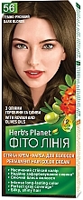 Düfte, Parfümerie und Kosmetik Haarfarbe Phyto Line  - Herb's Planet 