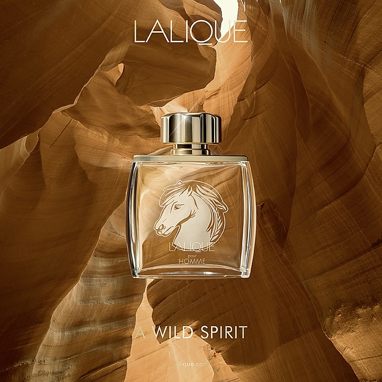 Lalique Equus Pour Homme - Eau de Parfum — Foto N4