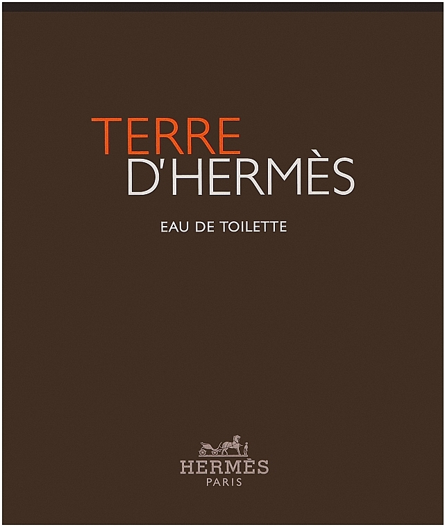 Hermes Terre dHermes - Duftset (Eau de Toilette 100ml + Duschgel 80ml) — Bild N1