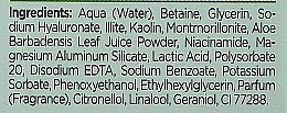 Entgiftender und normalisierender Serum-Booster für das Gesicht mit grünem Ton - Bielenda Botanical Clays Vegan Serum Booster Green Clay — Bild N2