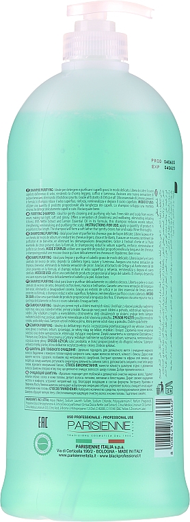 Seboregulierendes Shampoo mit Brennnessel und Zitronenöl für fettiges Haar - Black Professional Line Sebum-Balancing Shampoo — Foto N2