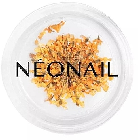 Trockenblumen zur Nageldekoration - NeoNail Professional  — Bild N1