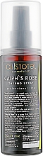 Hitzeschutzspray Rosa Khalifa - ChistoTel — Bild N2