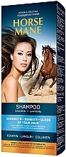 Stärkendes Shampoo für mehr Glanz mit Keratin, Lanolin und Kollagen - Pharma Group Horse Mane — Bild N1