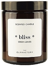 Düfte, Parfümerie und Kosmetik Duftkerze im Glas - Ambientair The Olphactory Bliss Green Leaves Candle