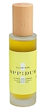 Düfte, Parfümerie und Kosmetik Reinigungsöl zur Make-up-Entfernung  - Oppidum Cleansing Oil-Make-Up Remover 