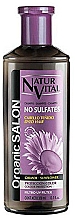 Düfte, Parfümerie und Kosmetik Shampoo für coloriertes Haar - Natur Vital Organic Salon Shampoo For Coloured Hair