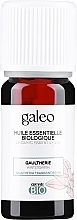 Düfte, Parfümerie und Kosmetik Organisches ätherisches Öl Wintergrün - Galeo Organic Essential Oil Gaultherie