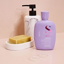 Glättendes Shampoo für widerspenstiges Haar - Alfaparf Semi di Lino Smooth Smoothing Shampoo — Bild N5